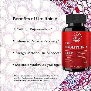 Urolithin A Capsules 1000mg - 60 Count