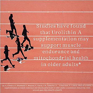 Urolithin A Capsules 1000mg - 60 Count